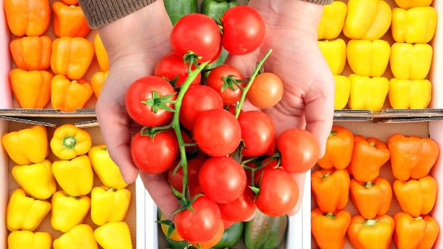 水果進口手續(xù)及流程