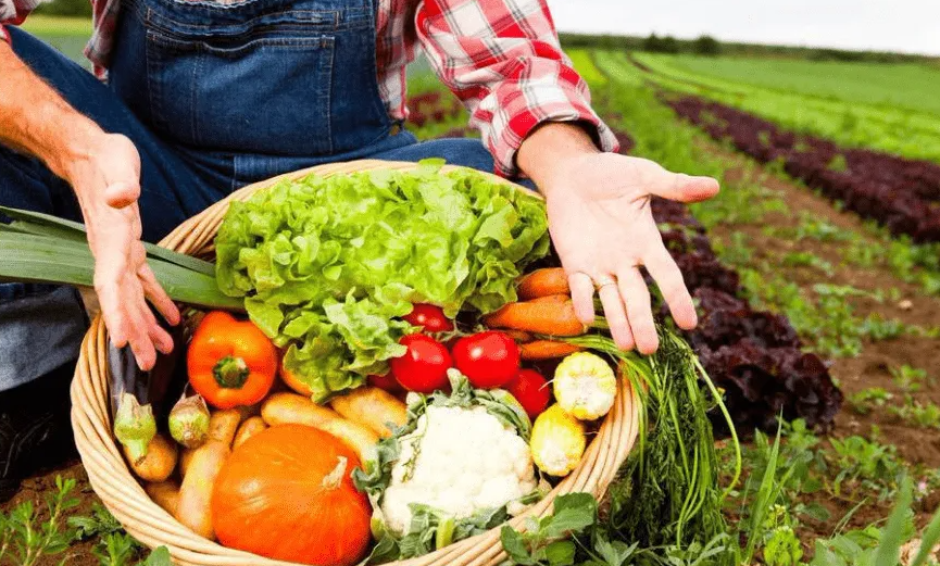 世界銀行：柬埔寨果蔬對(duì)華出口將持續(xù)增長(zhǎng)，油價(jià)、疫情成主要阻礙