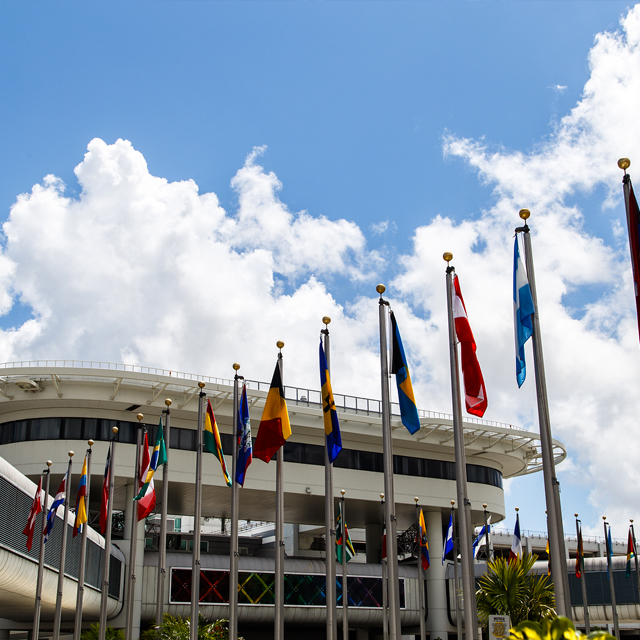 東盟國家對(duì)華投資快速增長