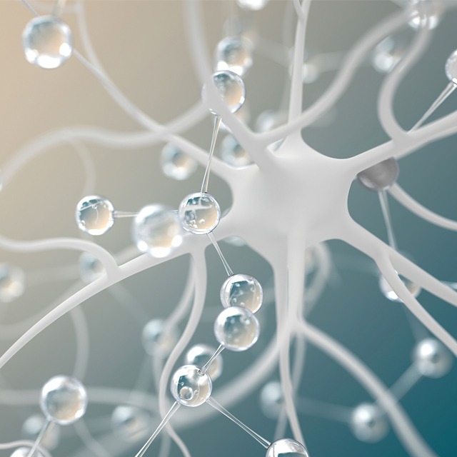 進(jìn)博故事｜GE醫(yī)療：進(jìn)博會(huì)創(chuàng)造了無(wú)限的聯(lián)結(jié)可能