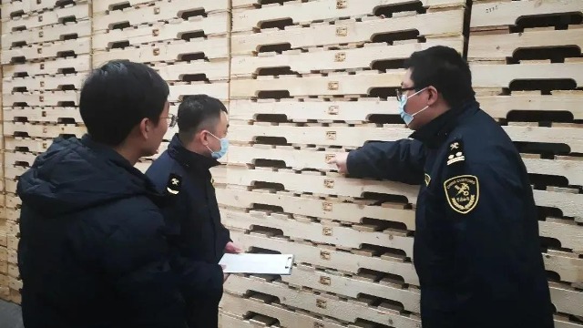 進(jìn)出境木質(zhì)包裝檢疫一二三