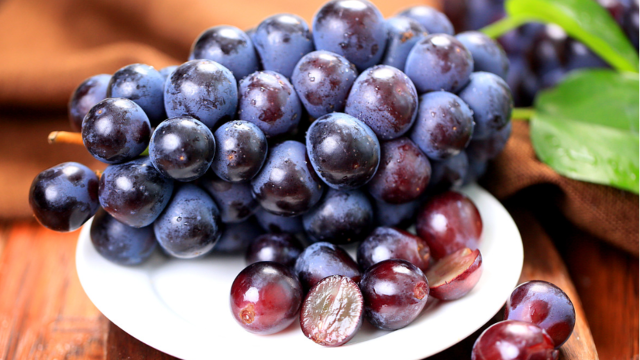 智利本產(chǎn)季對(duì)華鮮食葡萄推廣收官 合作超市和銷售點(diǎn)數(shù)達(dá)頂峰