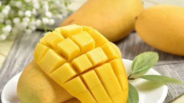 加納成為全球第十一大芒果出口國