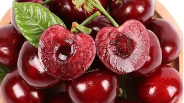 智利圣安東尼奧國(guó)際碼頭本季車?yán)遄舆\(yùn)輸量將翻番