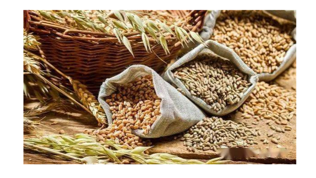 俄農(nóng)業(yè)部：2022年俄羅斯糧食出口總額增長12%