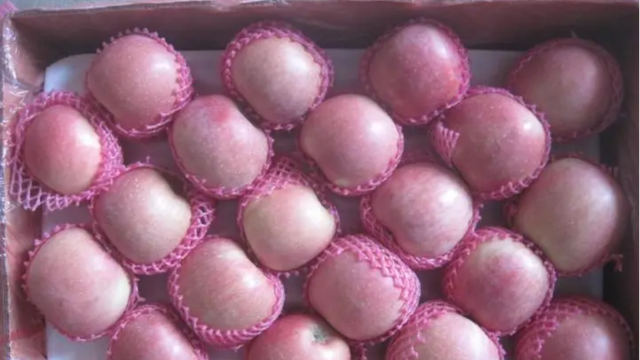 中國自大流行爆發(fā)前的2019年以來首次向俄克拉斯諾亞爾斯克邊疆區(qū)出口蘋果