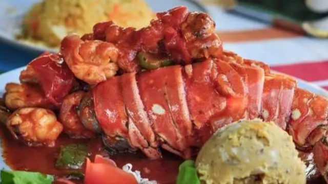 吸引外資 2023年古巴國(guó)際農(nóng)業(yè)和食品展開(kāi)幕