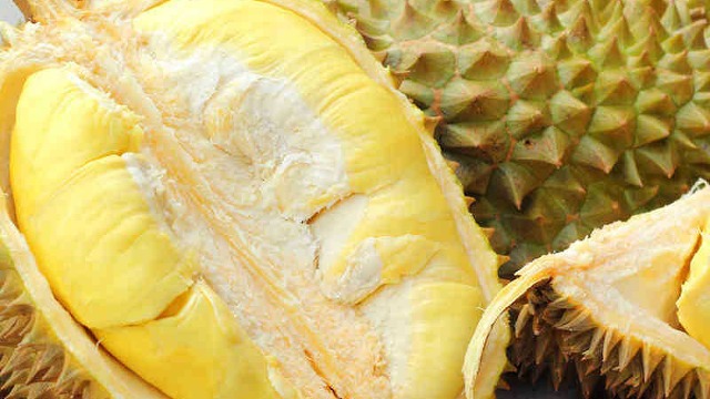 越南新增293個(gè)榴蓮種植區(qū)，出口額有望達(dá)15億美元