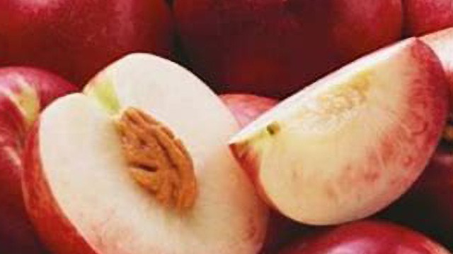 超3萬噸！中國連續(xù)兩年成為智利油桃最大出口市場