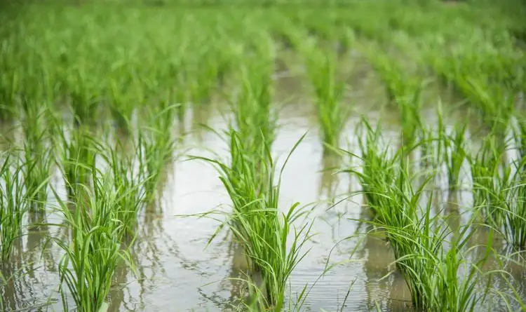 微信截圖_20221216090936