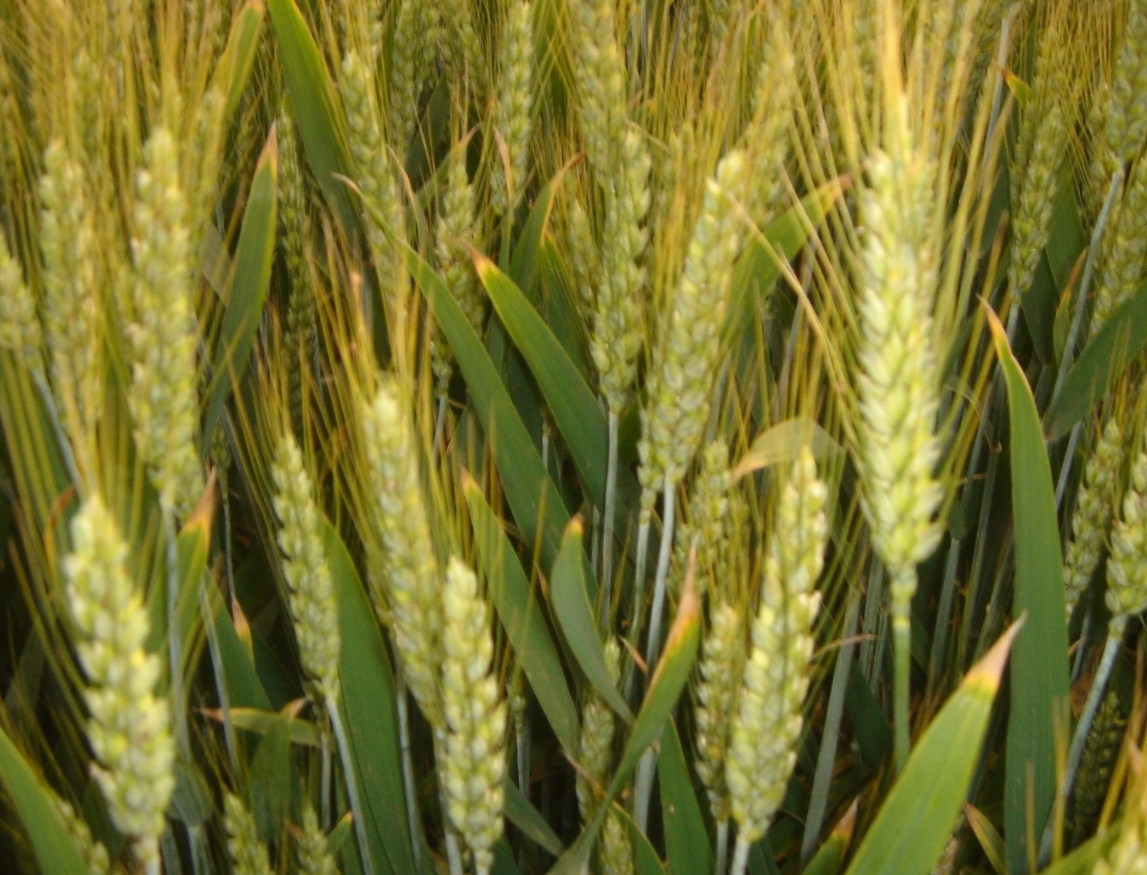 QQ截圖20221224104143