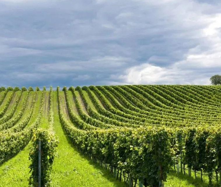 微信截圖_20230406084144