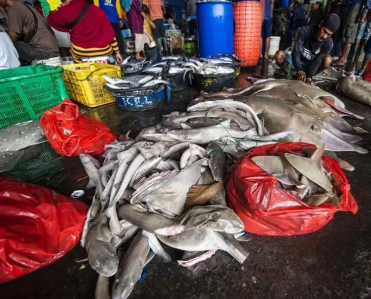 微信截圖_20230111093113