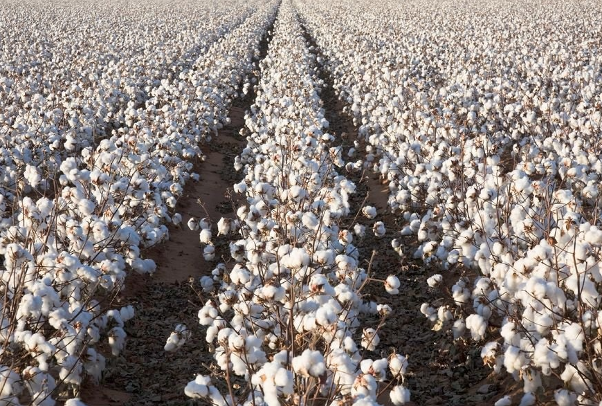 微信截圖_20230209095832