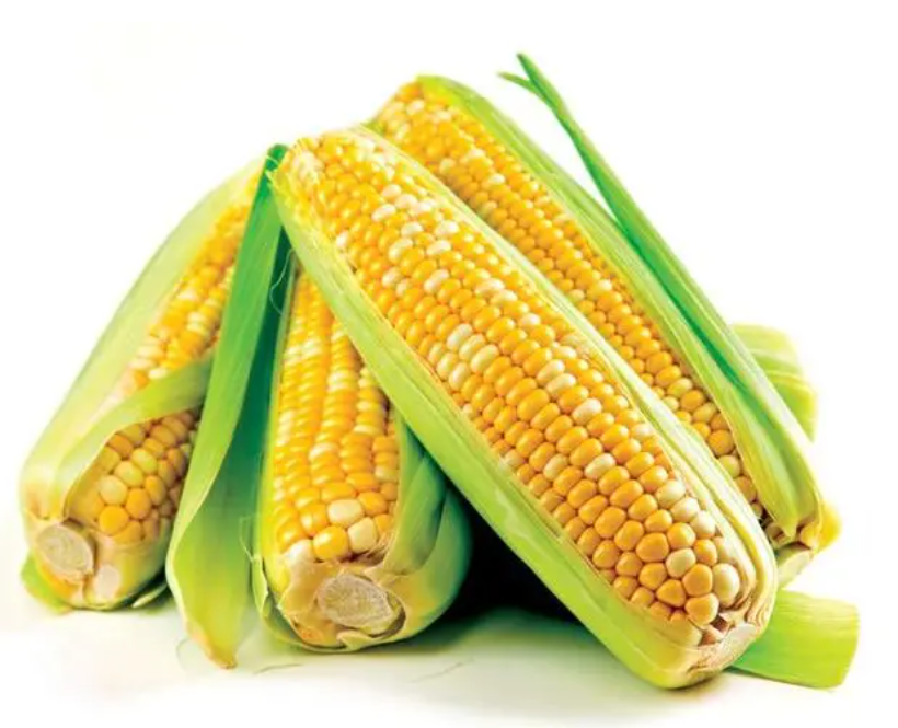 微信截圖_20230310085052