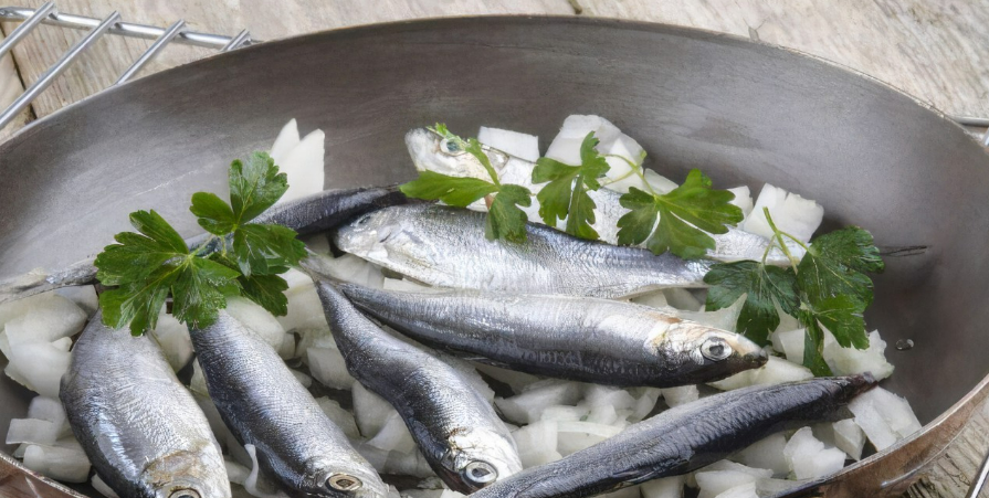 中國(guó)是俄羅斯海產(chǎn)品主要的出口地區(qū)