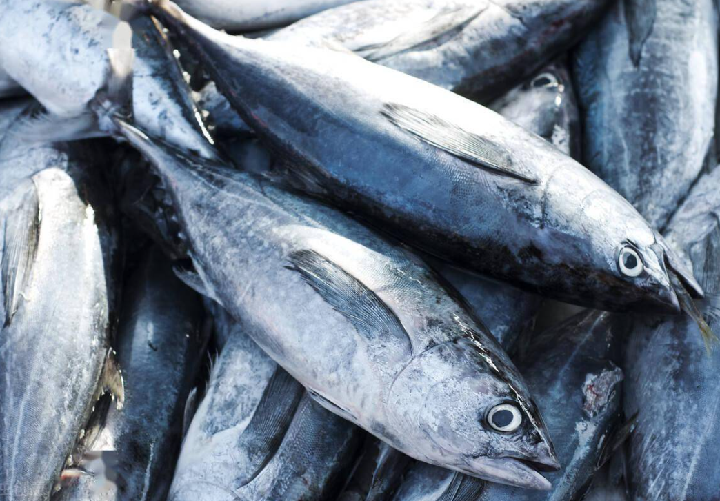 微信截圖_20230129092214