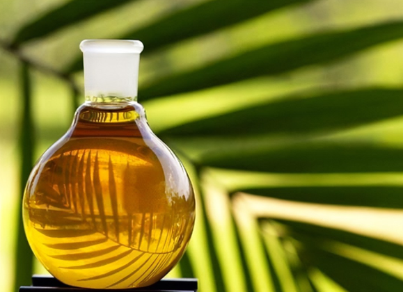 危地馬拉上半年食品飲品出口額大增 棕櫚油最受歡迎