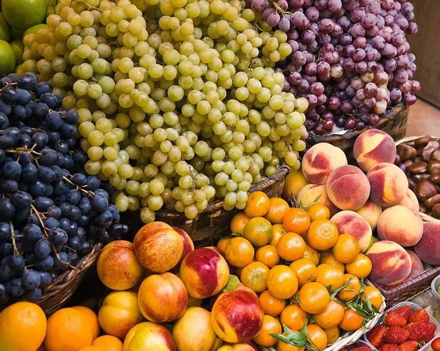 微信截圖_20230307084501