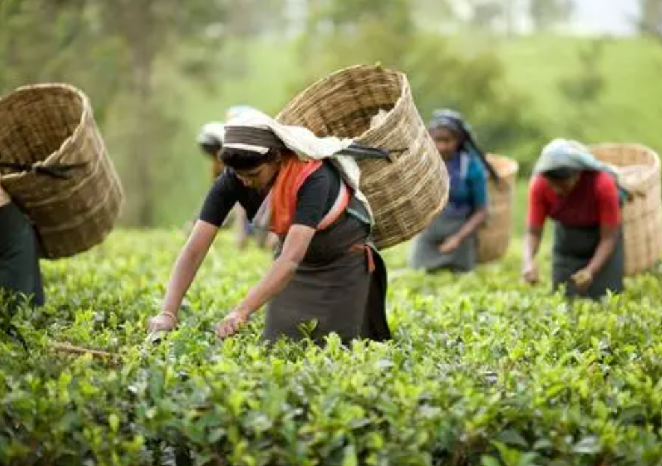 微信截圖_20230209095227