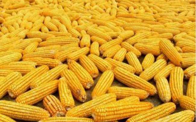 微信截圖_20230117092824