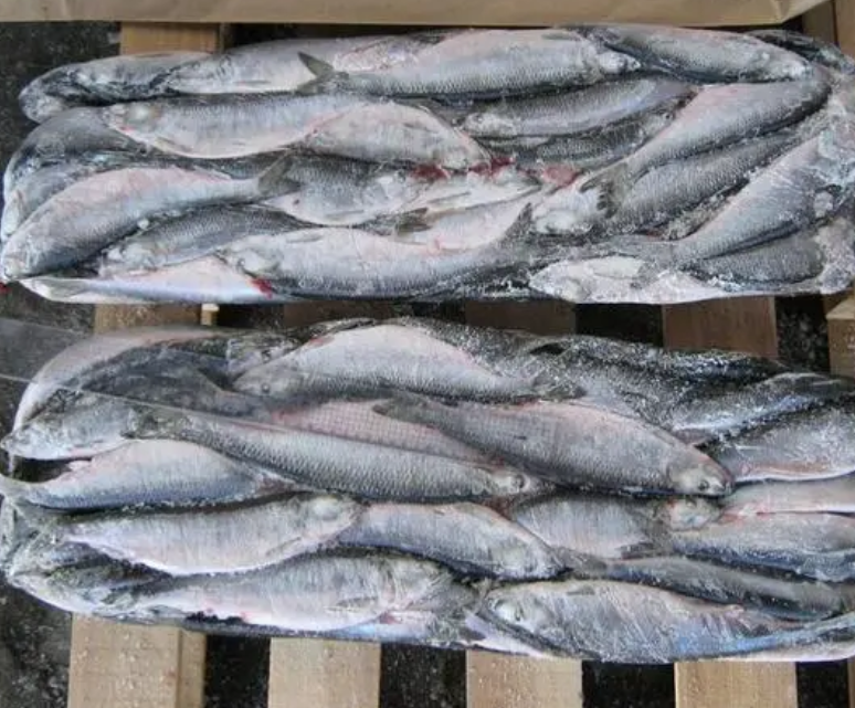 微信截圖_20230323085006