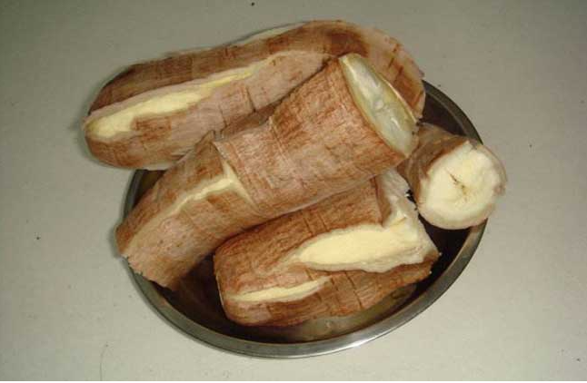 微信截圖_20230119091902