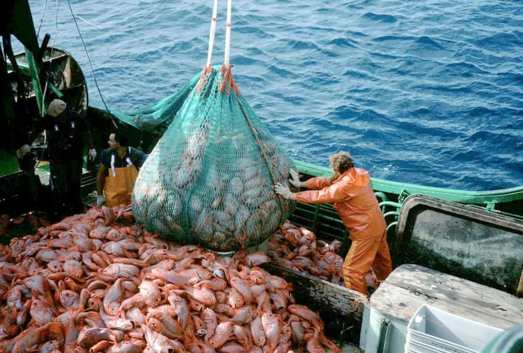 微信截圖_20221228094617