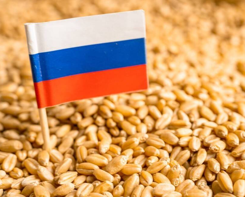 微信截圖_20230313085311