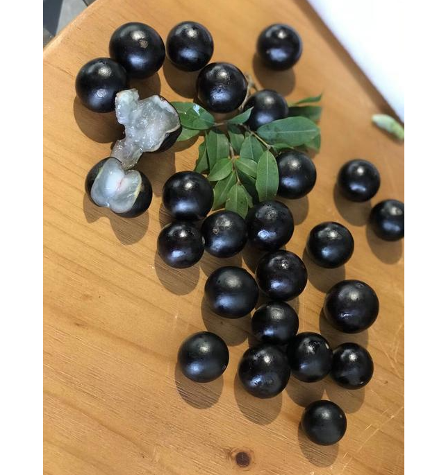 微信截圖_20230410083519