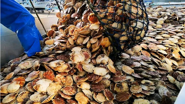 微信截圖_20230111093830