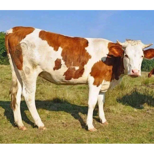 微信截圖_20230320083726