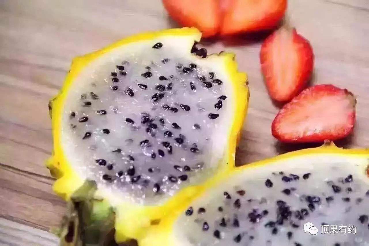 923392bf6e7d68b7603b721351059986 923392bf6e7d68b7603b721351059986